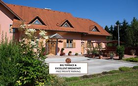 Turisticna Kmetija Protner